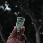 Revenue performance
