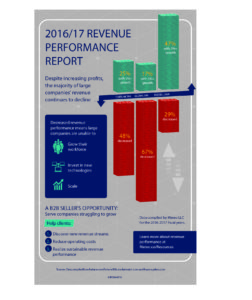 revenue report b2b sellers